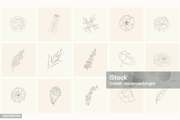 Set Of Floral Design Elements Plants Branches Leaves Rose Peony Stock Illustration - Download Image Now