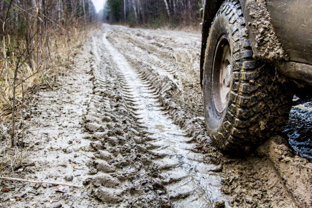 istock Off-road in the forest and car wheels 1060980360