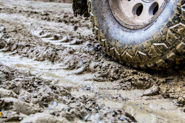 istock Off-road in the forest and car wheels 1060980432