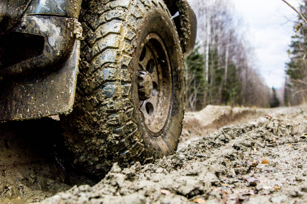 istock Off-road in the forest and car wheels 1060980856