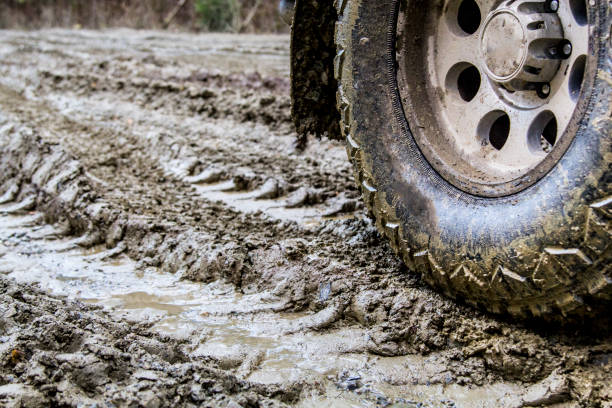 istock Off-road in the forest and car wheels 1060981040
