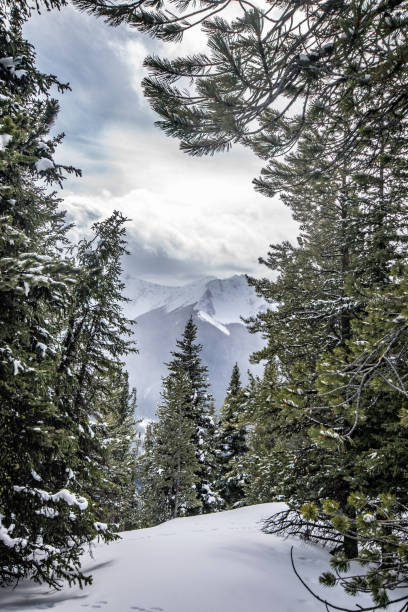 национальный парк банф - banff gondola стоковые фото и изображения