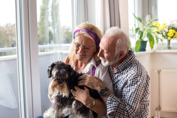 istock Senior couple with dog 1060985172