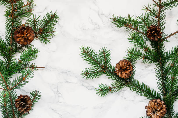 istock Christmas Background - Branches And Christmas toys 1060985222