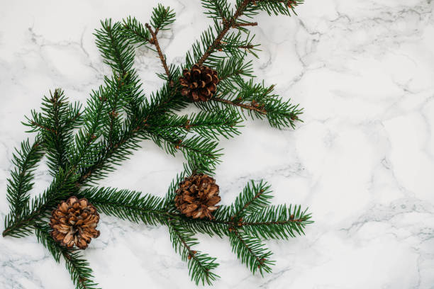 istock Christmas Background - Branches And Christmas toys 1060985312