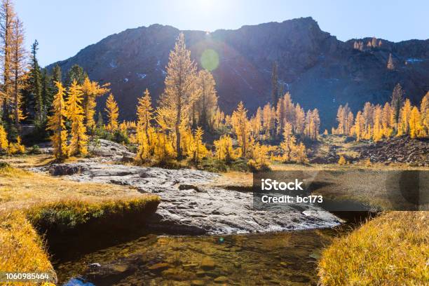Upper Headlight Basin Alpine Lakes Wilderness Pacific Northwest Washington State Usa Stock Photo - Download Image Now
