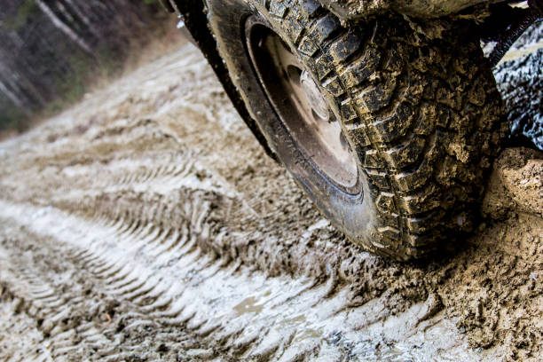 istock Off-road in the forest and car wheels 1060985490