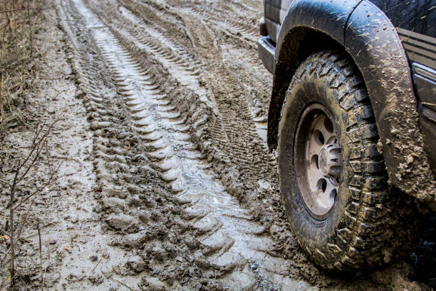 istock Off-road in the forest and car wheels 1060985668