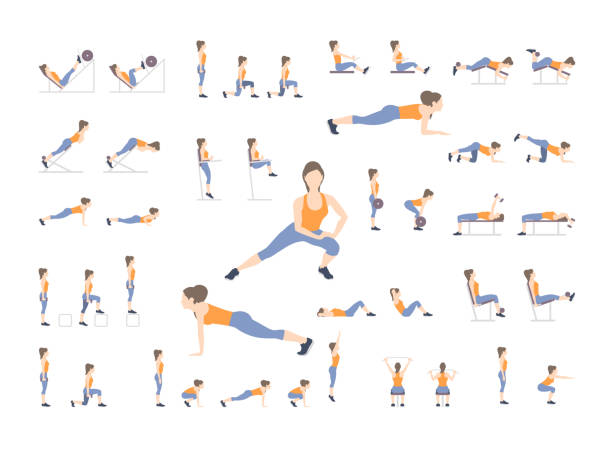 illustrations, cliparts, dessins animés et icônes de série d’exercices de sport - leg