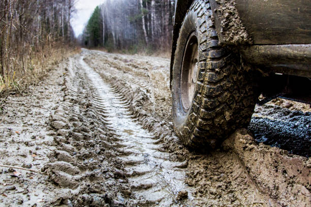 Off-road in the forest and car wheels