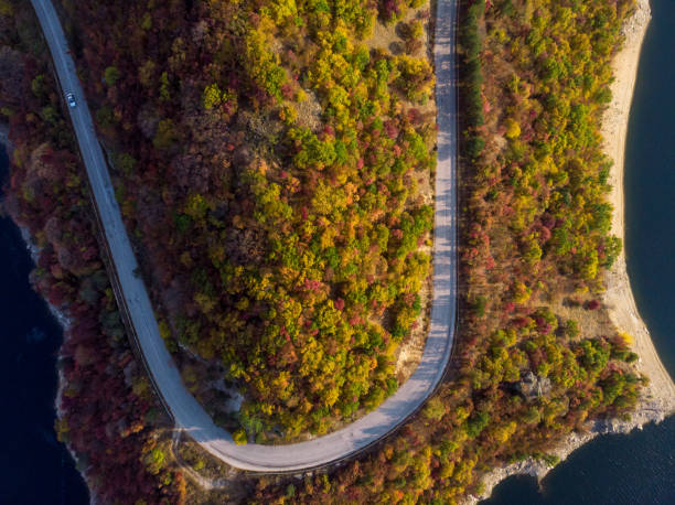 istock Road in the autumn forest aerial view. 1060997692