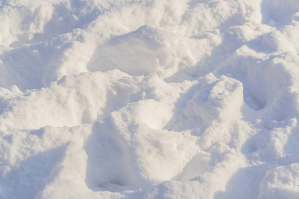 istock texture of white snow sparkling on the sun. 1061001596