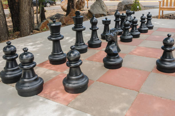 istock Large chess pieces in black on chess board 1061001856