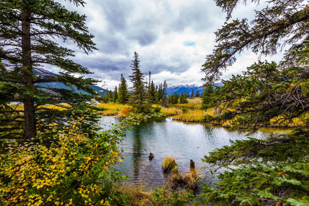 istock Fabulous beauty landscape 1061002396