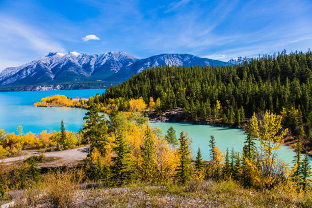 istock The emerald water of the lake 1061002456