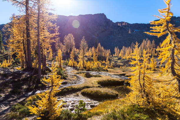 Basin filled with green, grassy meadows strewn with streams.