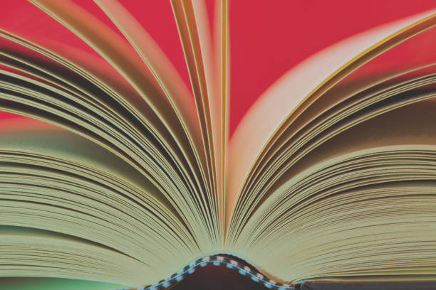 istock the pages of an open book 1061004314