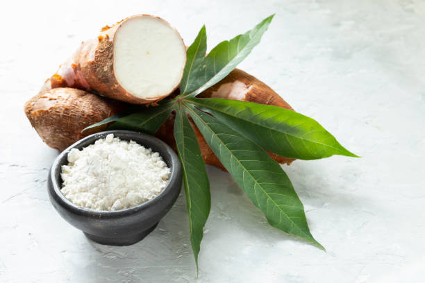 istock Raw yucca starch on the wooden table - Manihot esculenta 1061004420