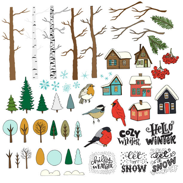 illustrations, cliparts, dessins animés et icônes de ensemble de dessinés à la main hiver forêt clipart - 2657