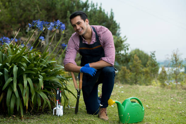 Man in the garden
