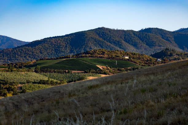 medford oregon dalle colline - oregon foto e immagini stock