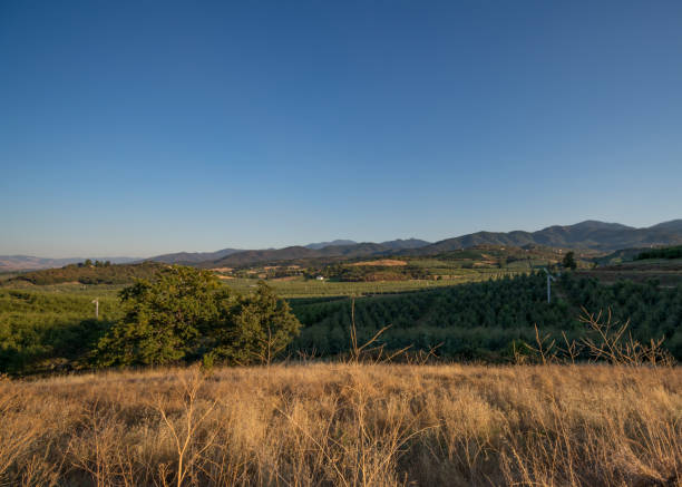 istock Medford Oregon from the hills 1061011488