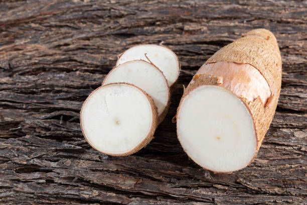 istock Raw yucca starch on the wooden table - Manihot esculenta. 1061013334