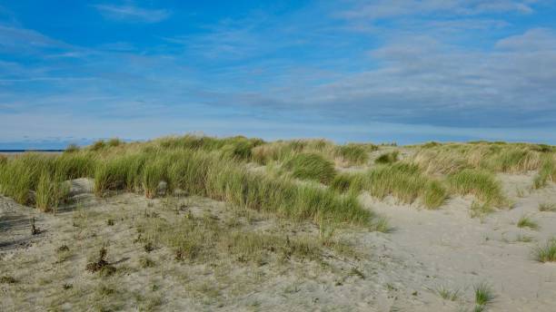 istock Sand dune landscape at sea side 1061013408