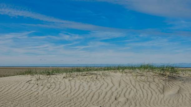 istock Sand dune landscape at sea side 1061013522
