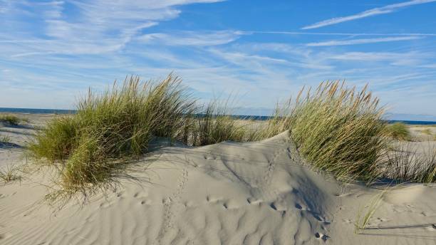 istock Sand dune landscape at sea side 1061014130