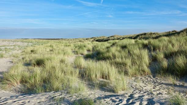 istock Sand dune landscape at sea side 1061014132