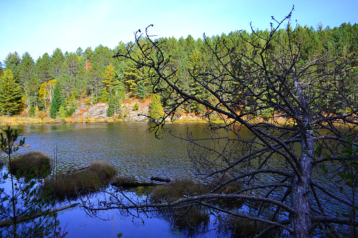 Algonquin Provincial Park, Ontario, Canada. Beautiful fall landscape with lake and mountains