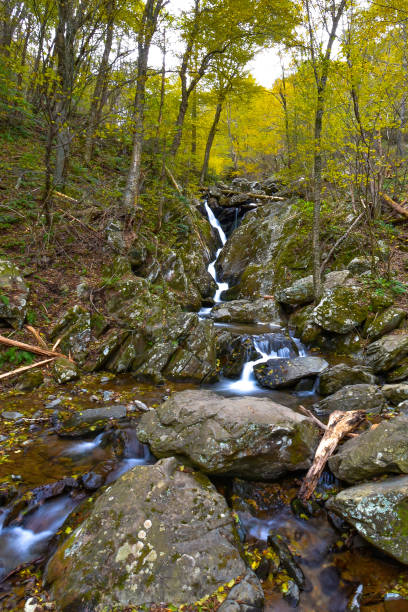 istock Shenandoah National Park 1061027988