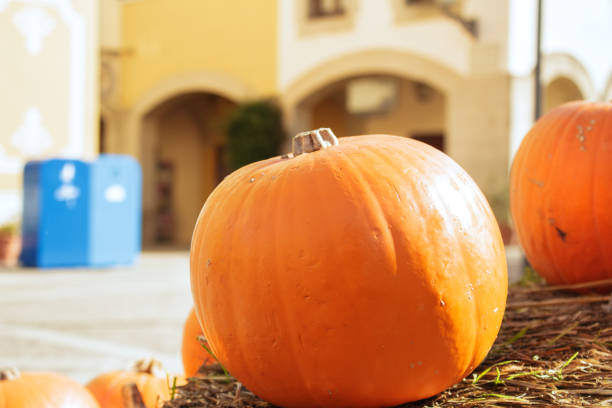 A Caucasian man without a face holds a ripe pumpkin in his hands with a straw hat on it. Front view from a low angle. Outdoors.
