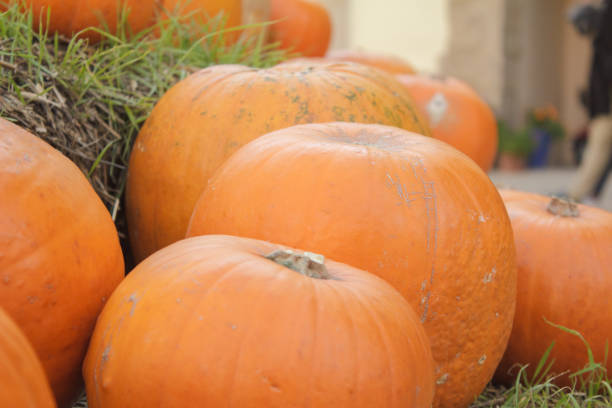 istock scary orange  halloween pumpkin jack o latern. 1061029548