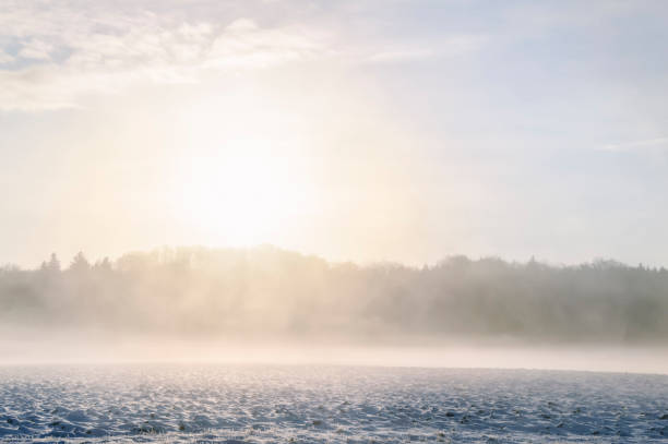 zimowy mglisty wschód słońca nad polem i lasem - winter lake snow fog zdjęcia i obrazy z banku zdjęć