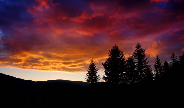 istock Majestic sunrise in the mountains landscape. 1061034496