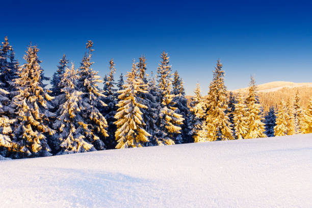istock A frosty and sunny day is in mountains 1061034560