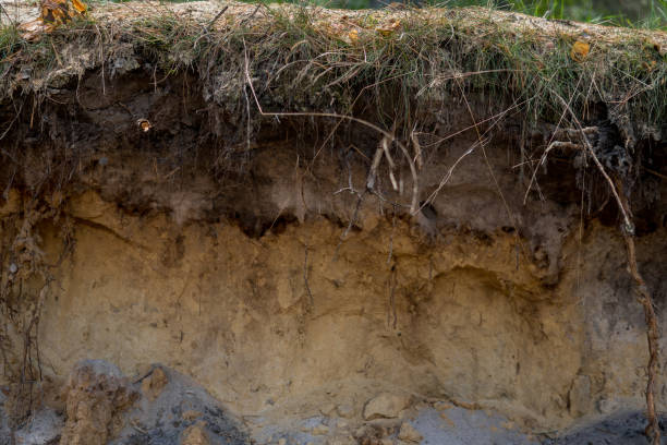 istock layers of podzol soil 1061034598