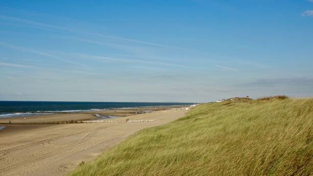 istock Sand dune landscape at sea side 1061037240