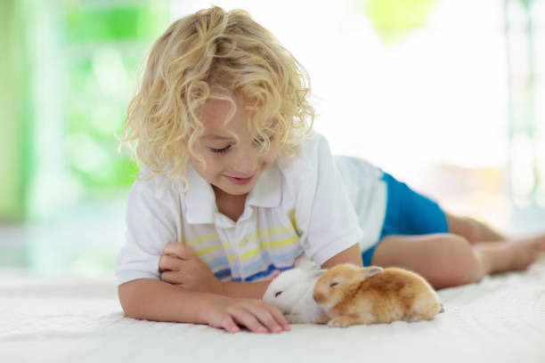 istock Child with rabbit. Easter bunny. Kids and pets. 1061037542