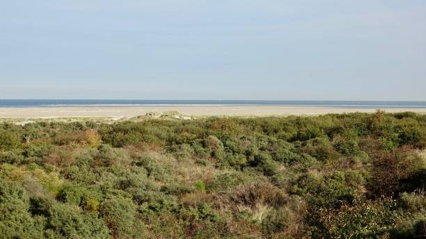 istock Sand dune landscape at sea side 1061037578