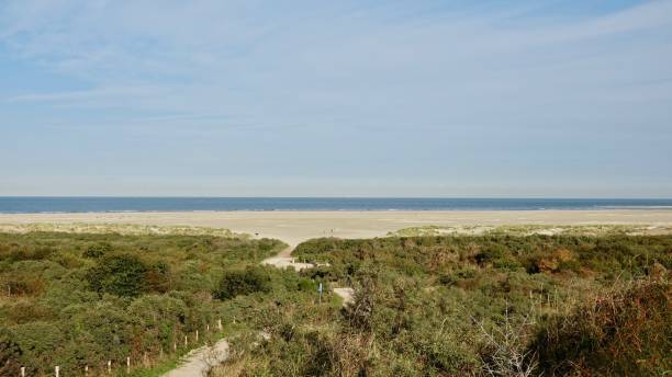 istock Sand dune landscape at sea side 1061037580