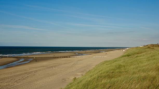 istock Sand dune landscape at sea side 1061037932