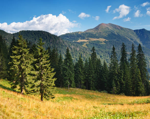 istock Beautiful mountains landscape and blue sky 1061038384