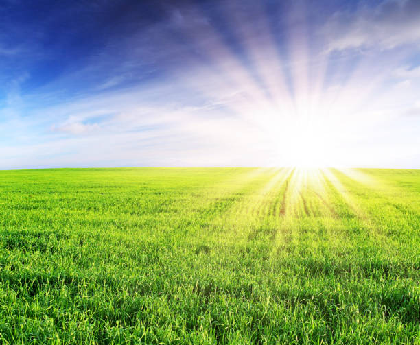 istock spring field and the beautiful blue sky 1061038414
