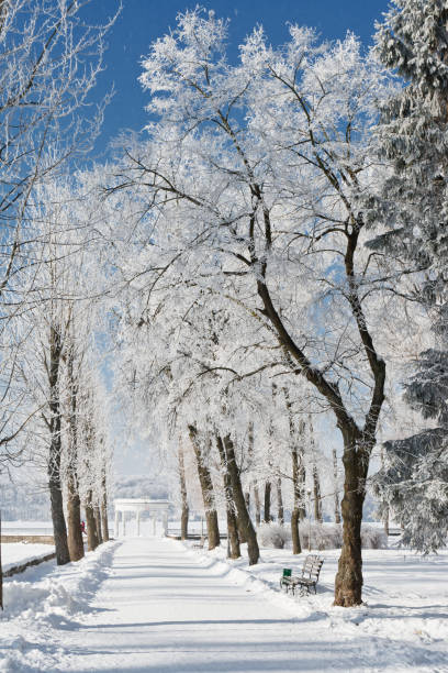 istock Beautiful winter landscape with snow covered trees 1061039744