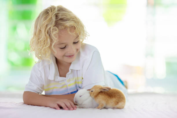istock Child with rabbit. Easter bunny. Kids and pets. 1061040170