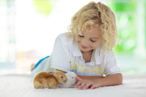 토끼와 아이입니다. 부활절의 토끼 어린이 애완 동물 - 16733 뉴스 사진 이미지