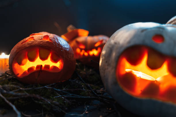 istock Halloween Pumpkins in a spooky forest at night 1061040382